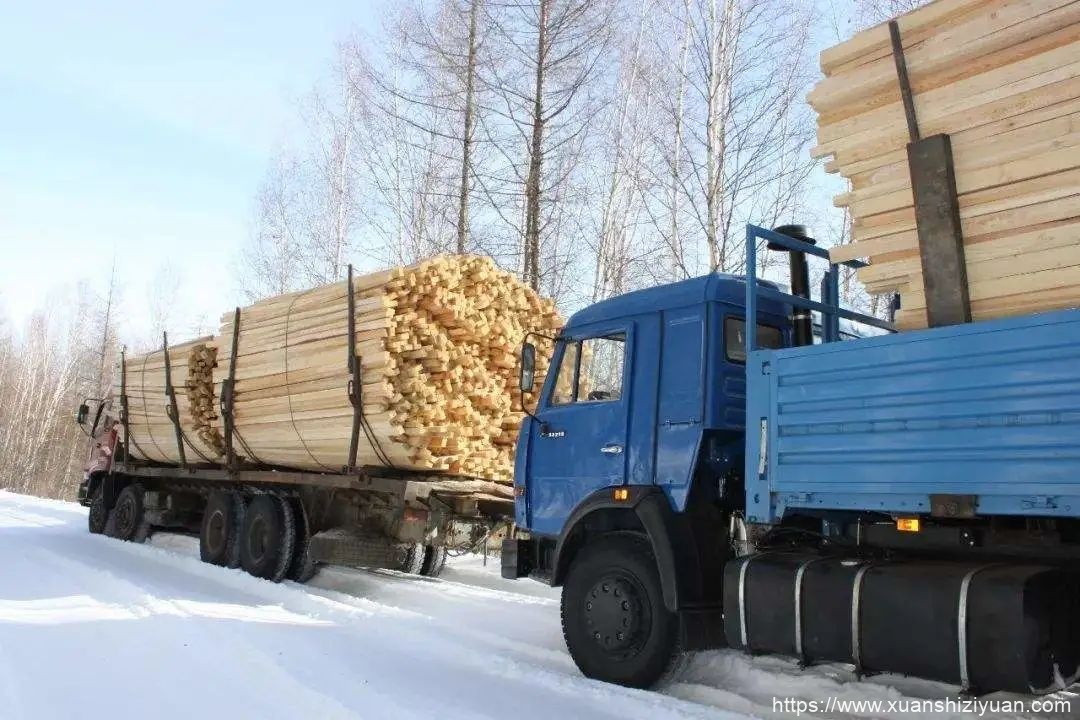 俄罗斯木材生意
