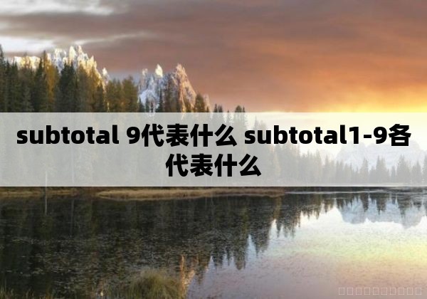 subtotal 9代表什么 subtotal1-9各代表什么