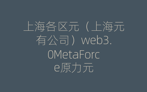 上海各区元（上海元有公司）web3.0MetaForce原力元