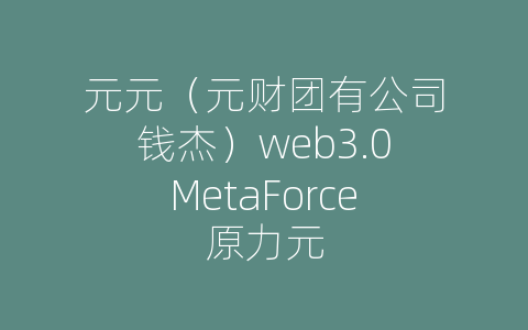 元元（元财团有公司钱杰）web3.0MetaForce原力元