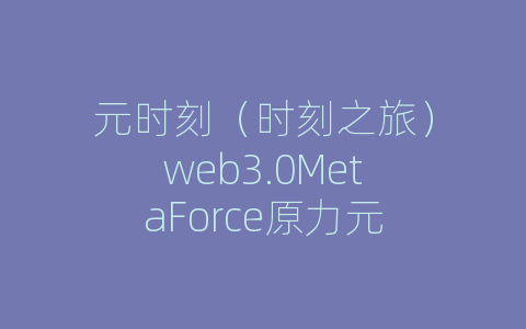 元时刻（时刻之旅）web3.0MetaForce原力元
