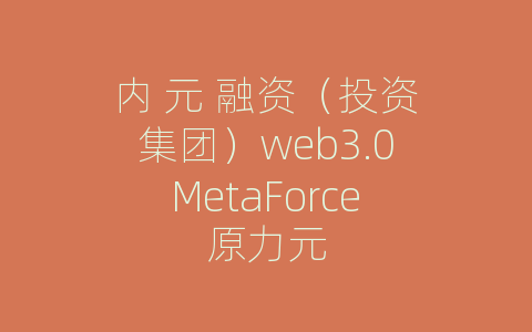 内 元 融资（投资集团）web3.0MetaForce原力元