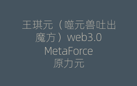 王琪元（噬元兽吐出魔方）web3.0MetaForce原力元