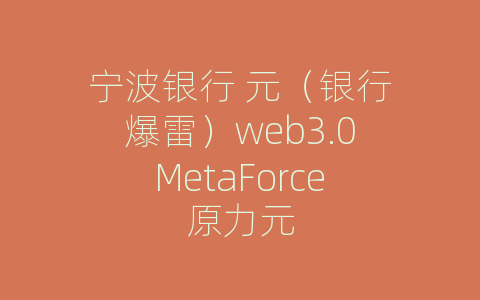 宁波银行 元（银行爆雷）web3.0MetaForce原力元